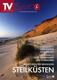 TV SYLT